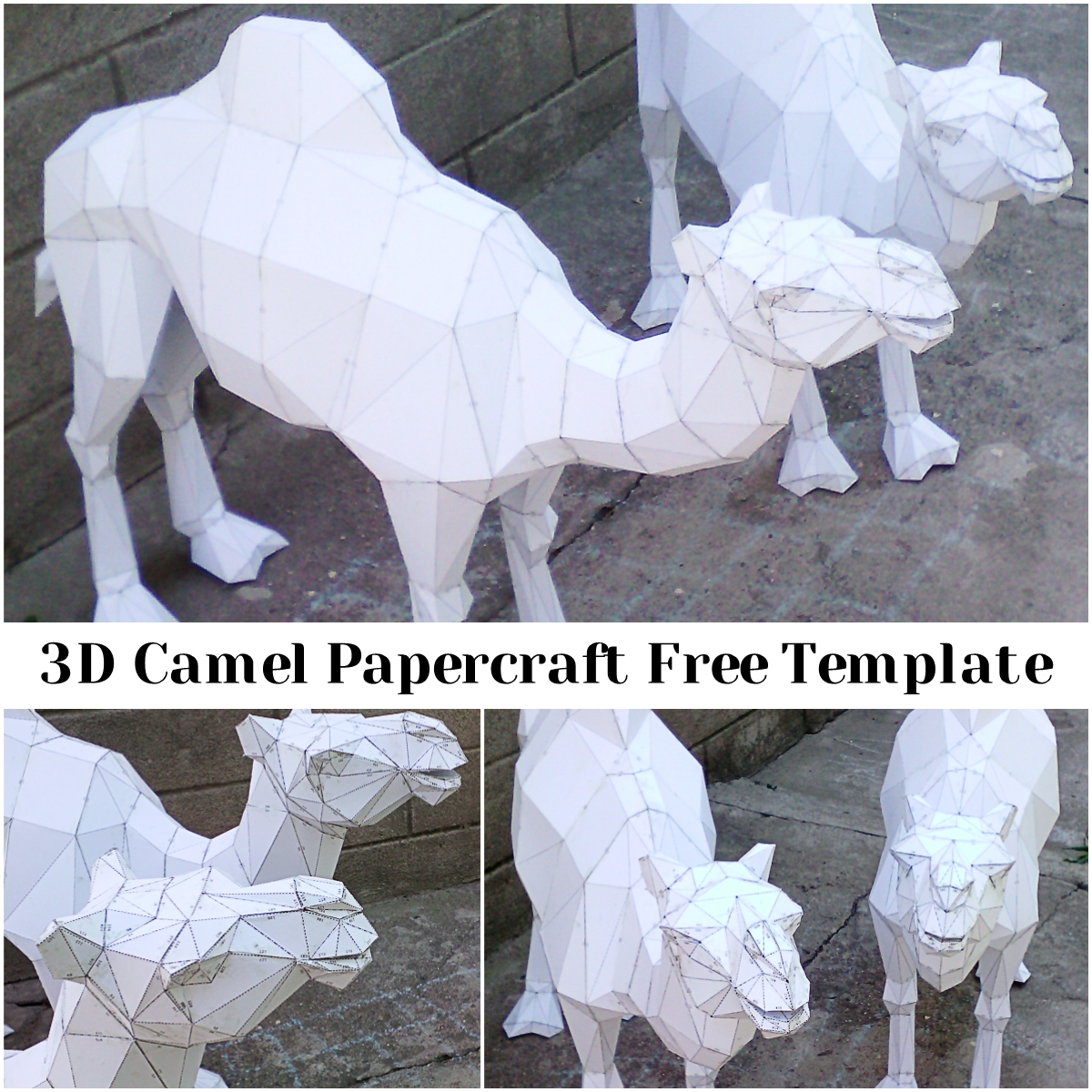 Printable 3d Paper Animals Templates
