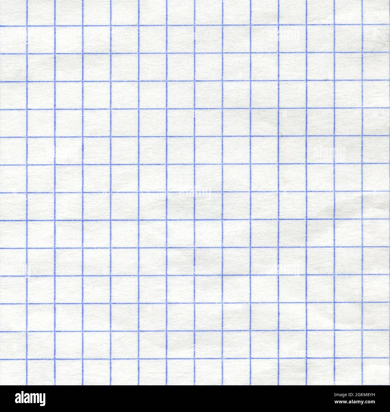 Detailed Blank Math Paper Sheet Texture Stock Photo Alamy