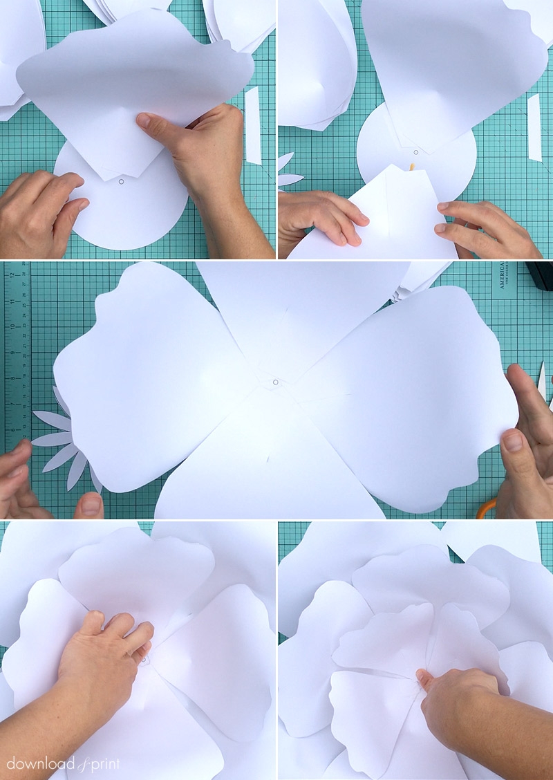 Paper Flower Templates Free Printable