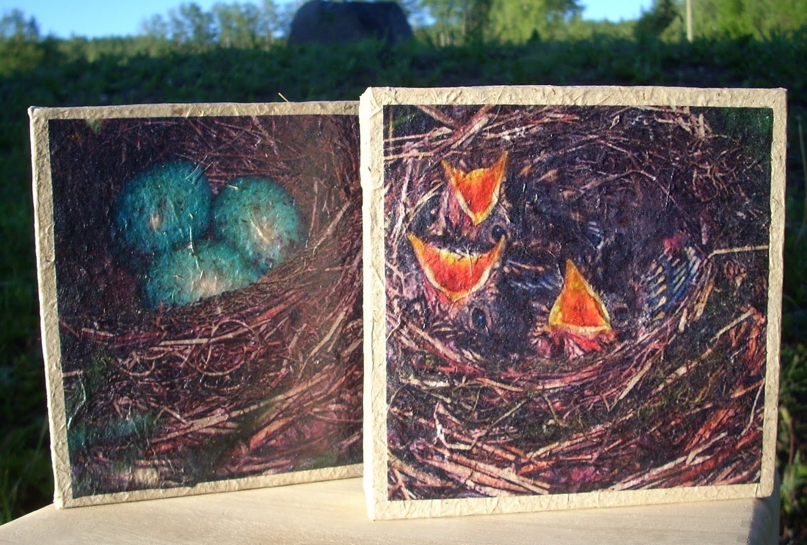 Liz Anna s Studio Digital Printing On Handmade Paper
