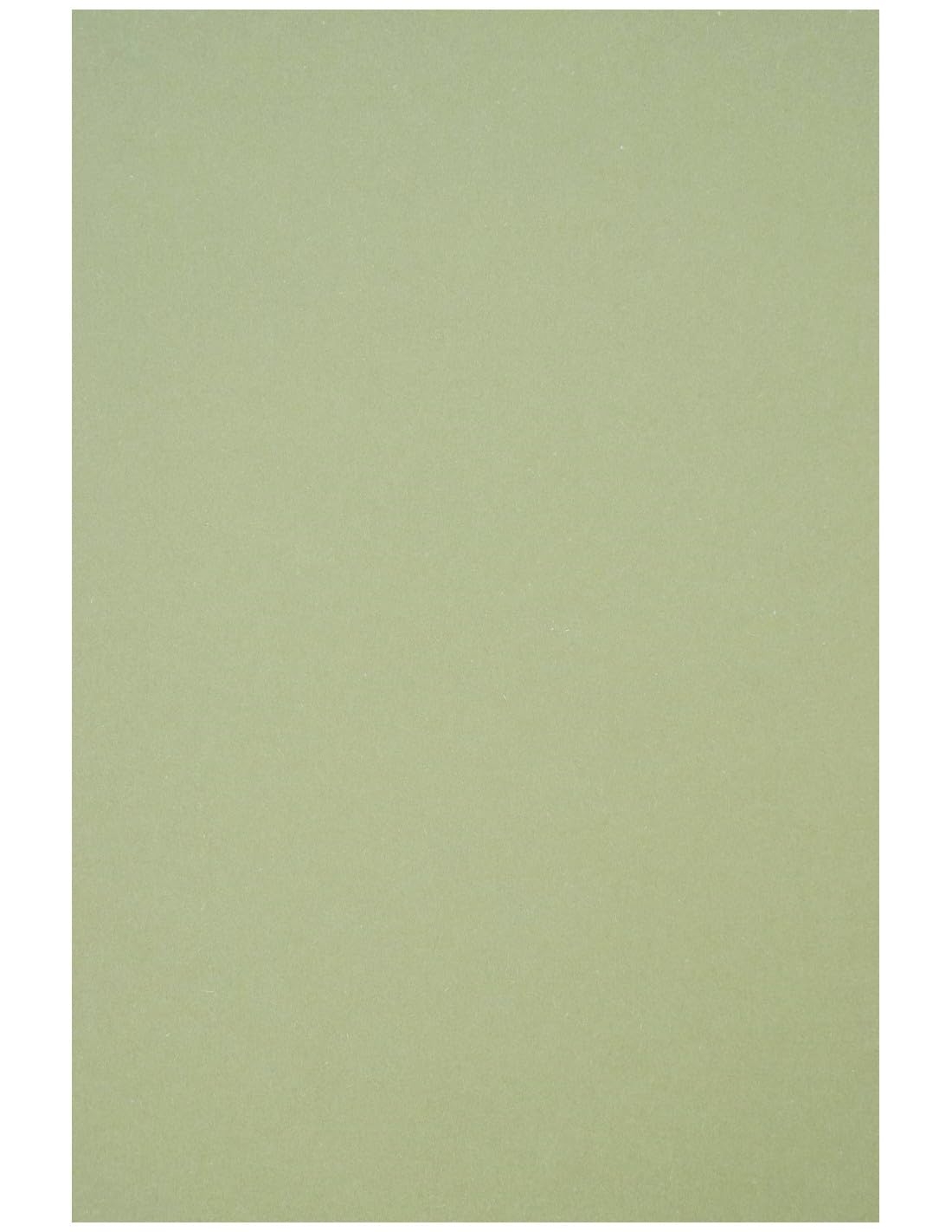 Netuno 50 Sheets Craft Cardboard Light Green DIN A4 210 X 297 Mm 250 G Crush