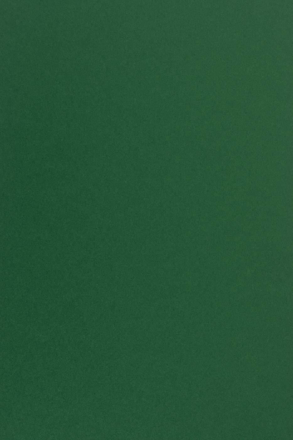 Netuno Sirio Colour Foglia Coloured Paper 100 Sheets Dark Green DIN A4 210 X 297 Mm