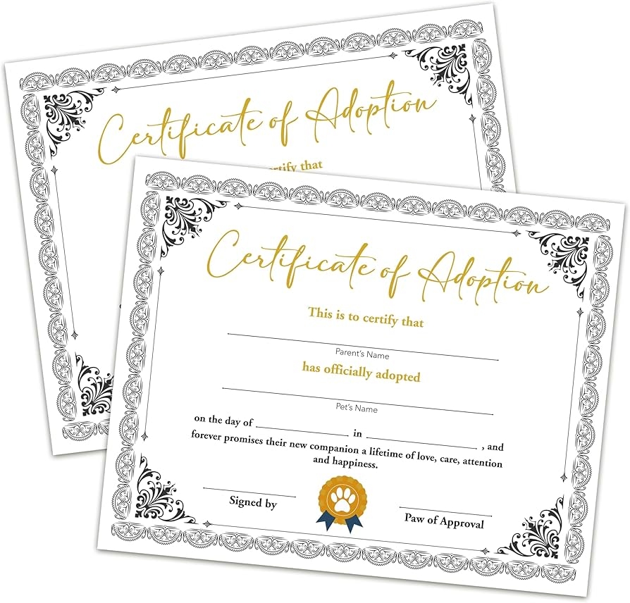 Pet Adoption Certificate Adopt A Pet Certificate For Girls And Boys Black Gold Party Decorations For Cats And Dogs 10 Adoption Certificates CC18 Amazon de Stationery Office Supplies