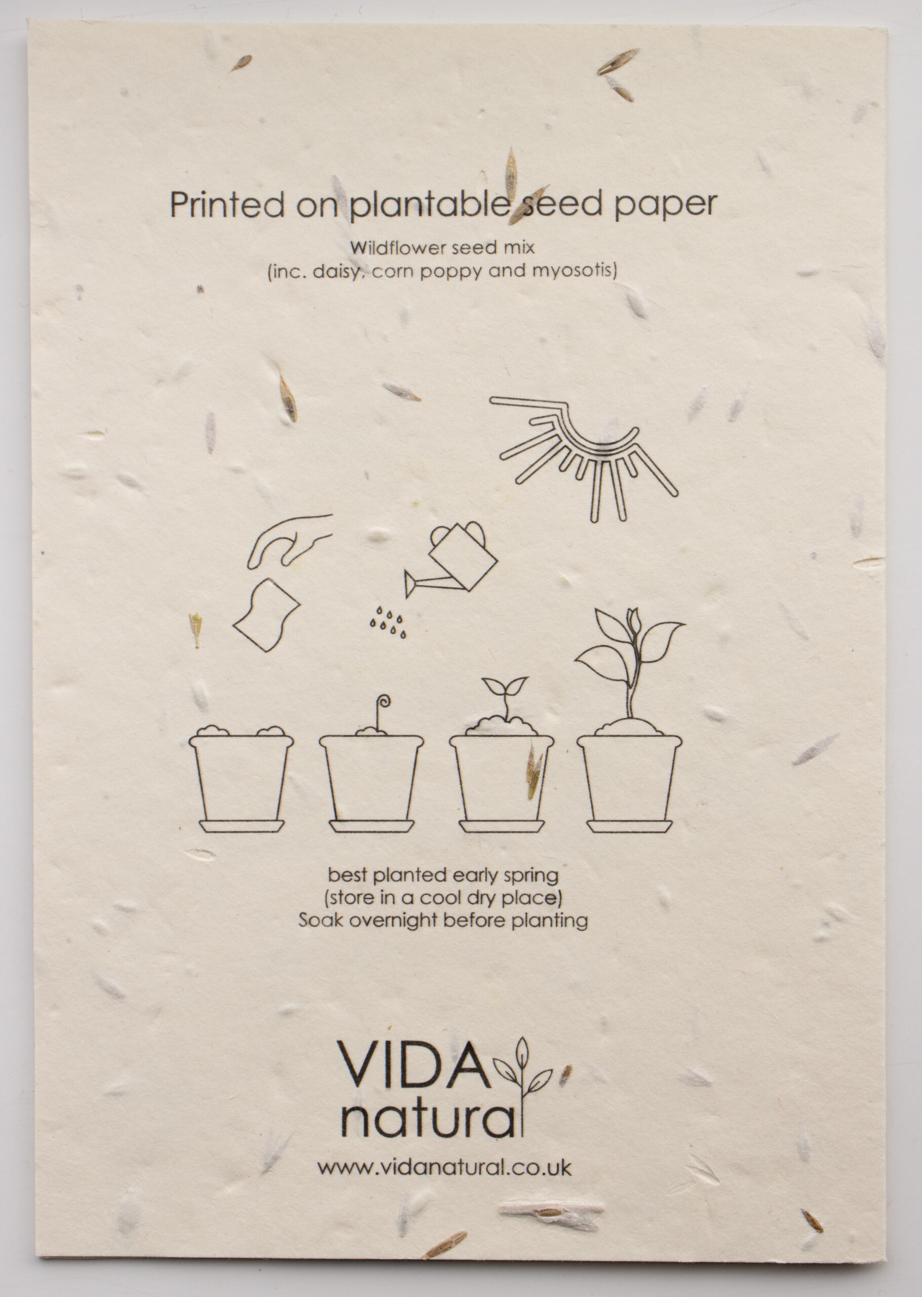 Plantable Paper Bleistift