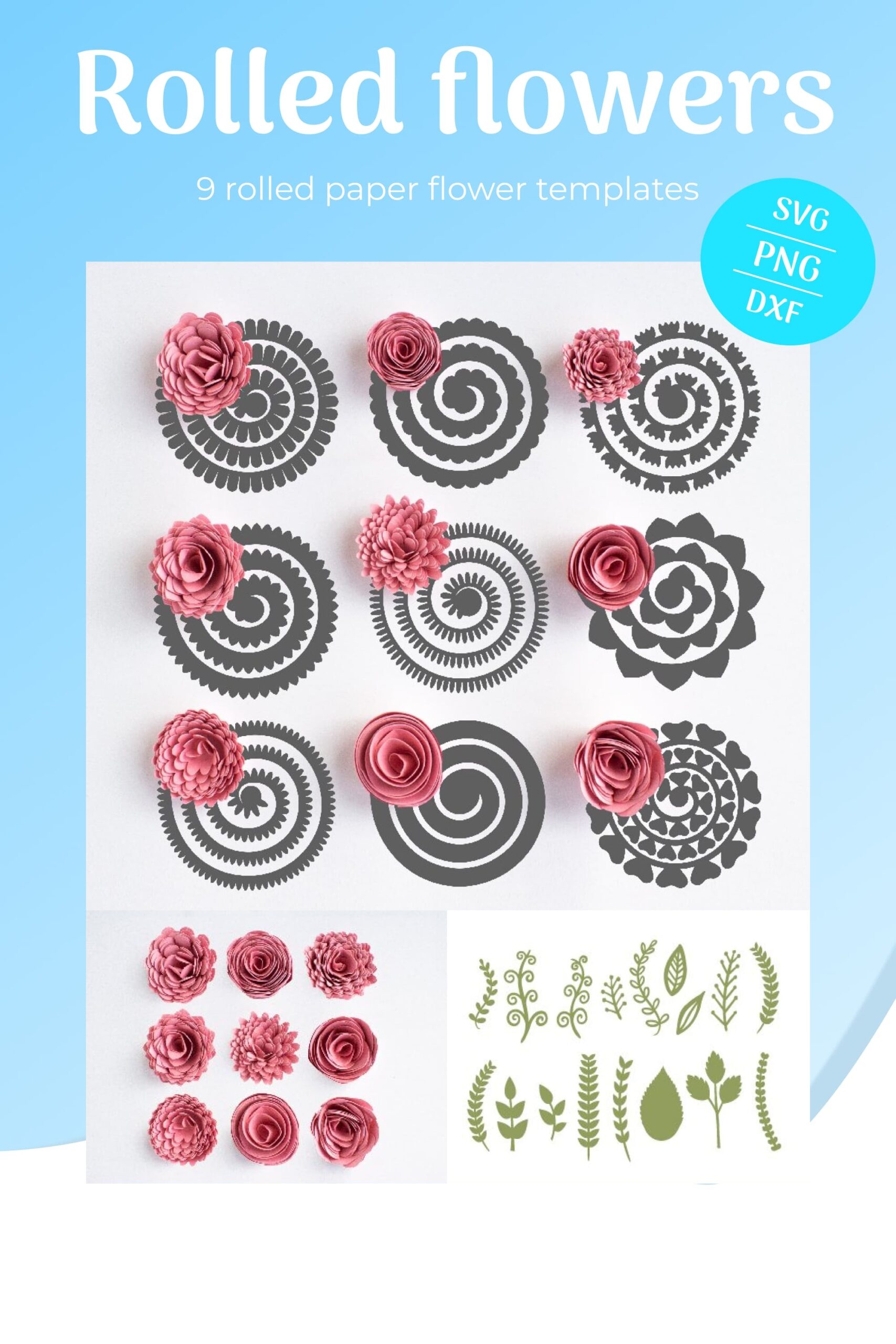 Rolled Flowers SVG 9 Rolled Paper Flower Templates MasterBundles