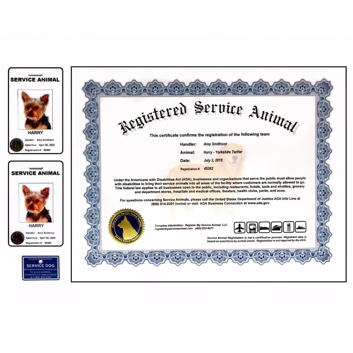 Service Animal Pet Documentation And Registration Online