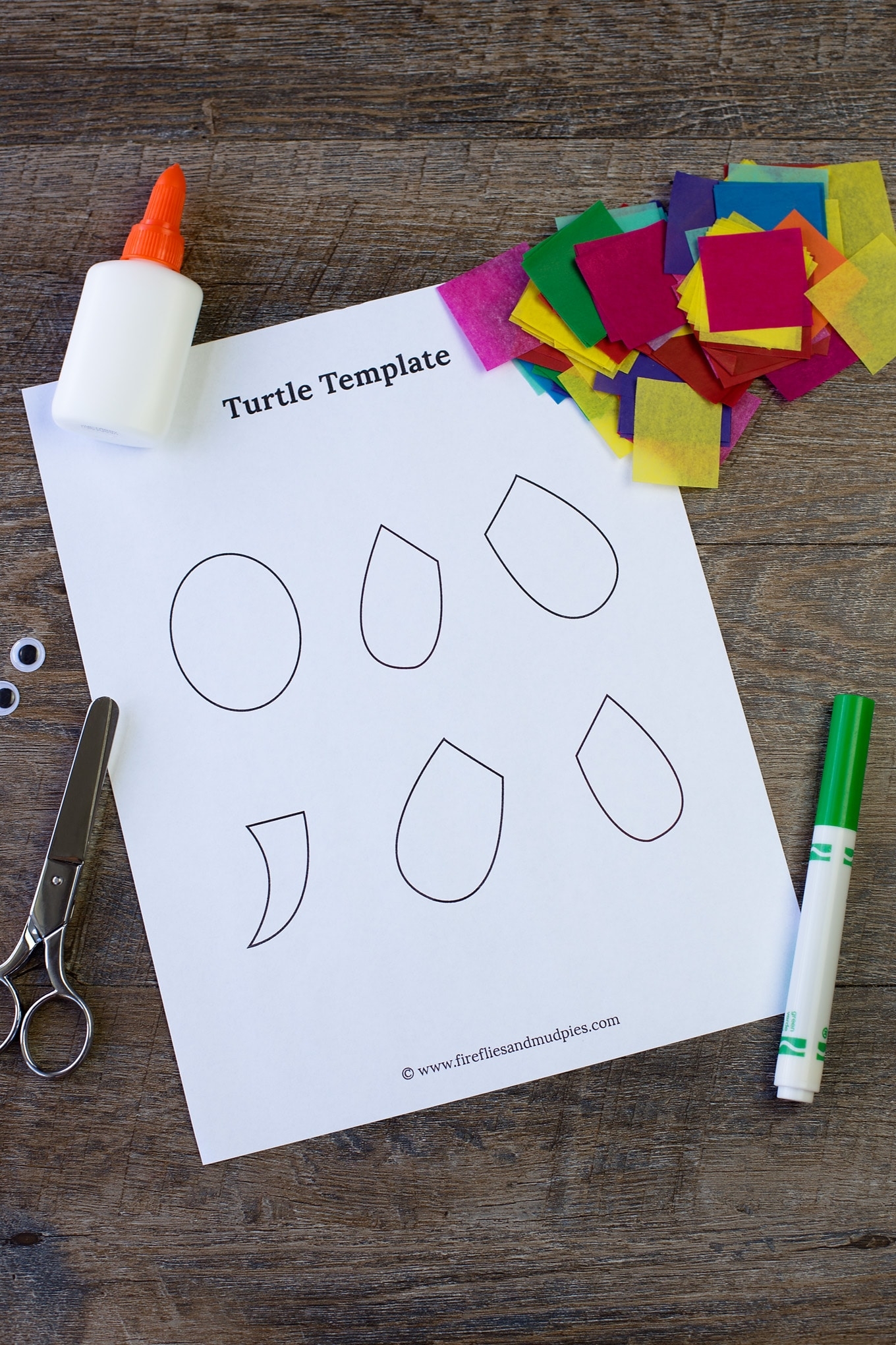 Tissue Paper And Paper Plate Turtle Craft