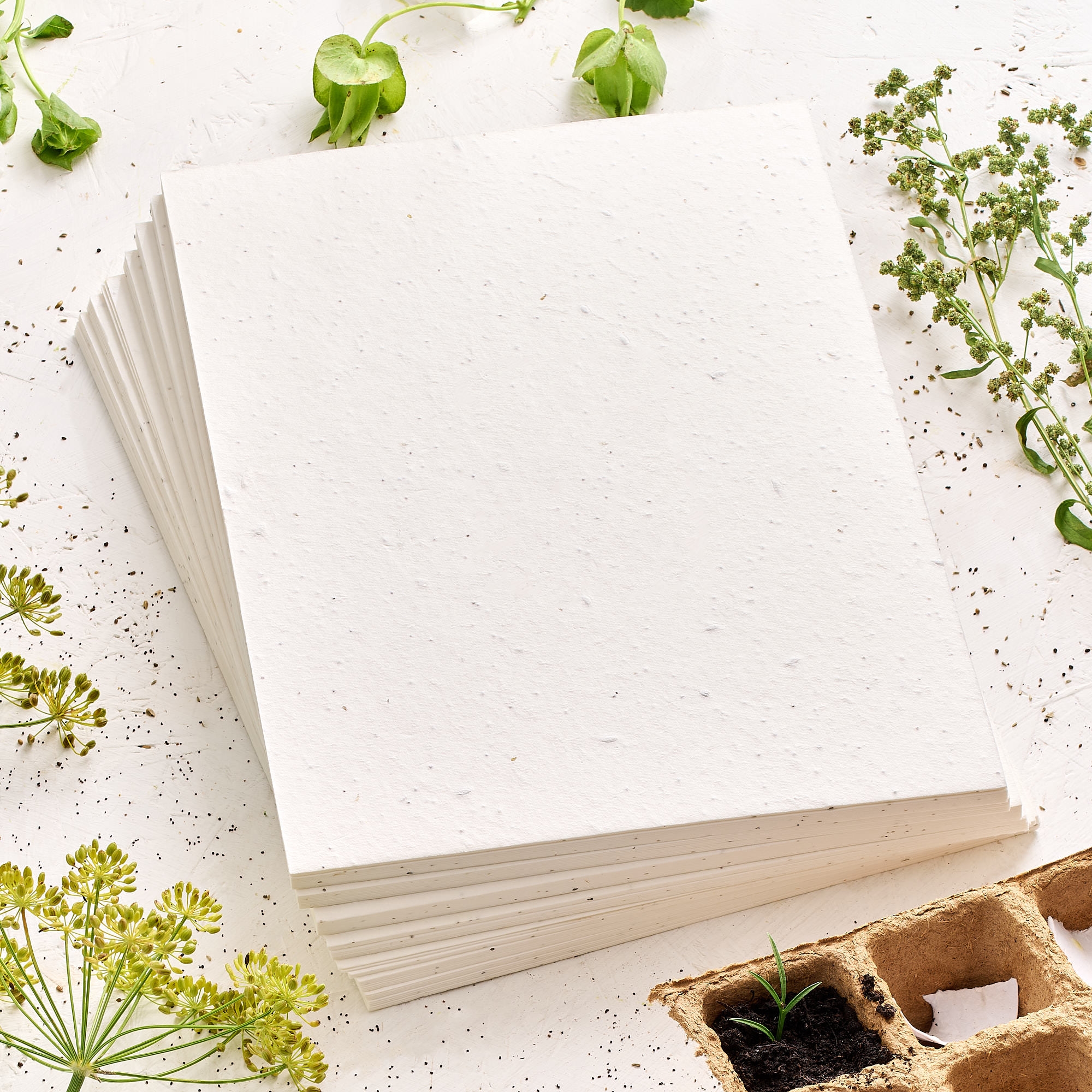 Wildflower Seed Paper UK Seed Paper